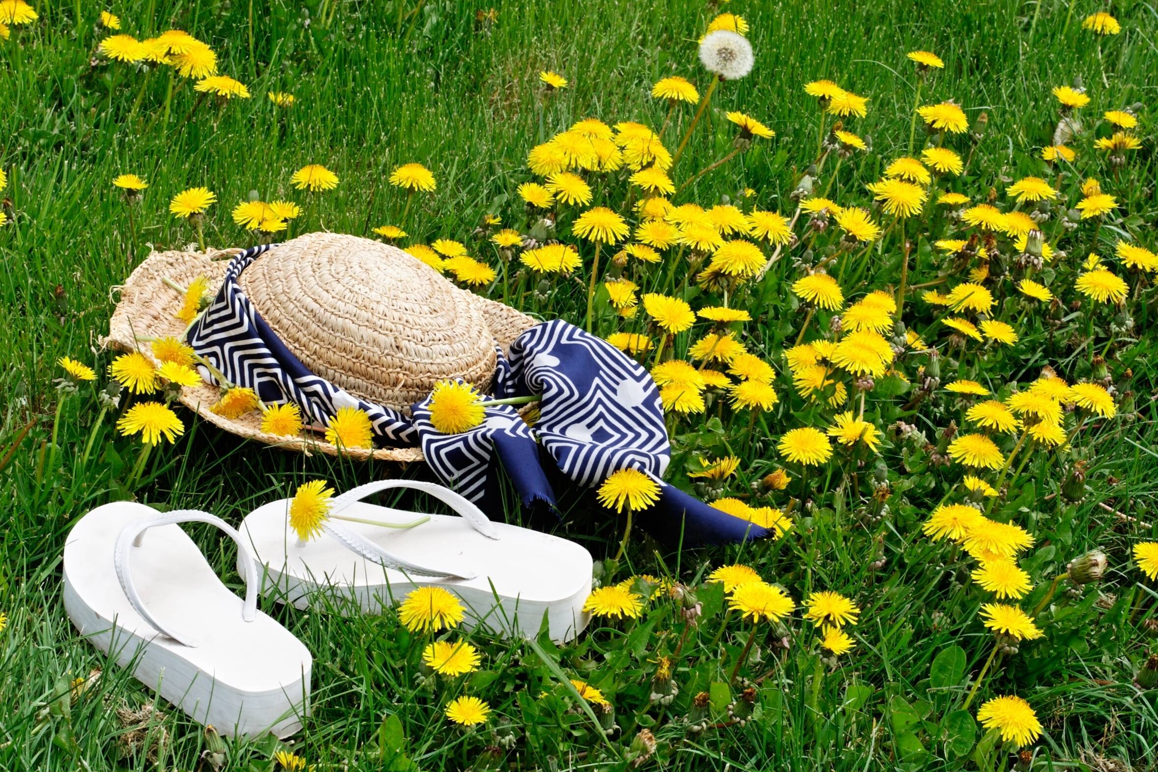 Fotolia 592694